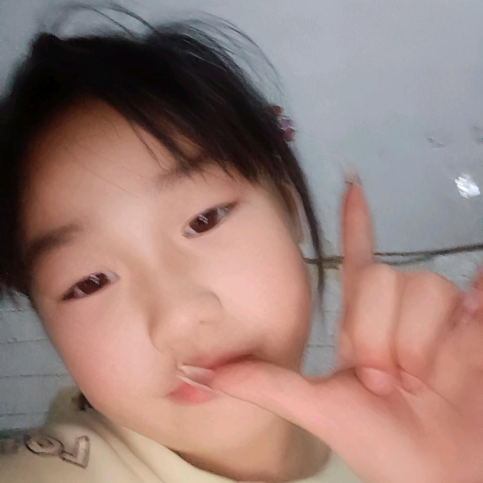 河南朱姐（学习中）