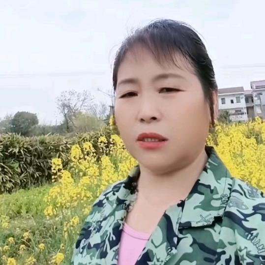 温暖的阳光