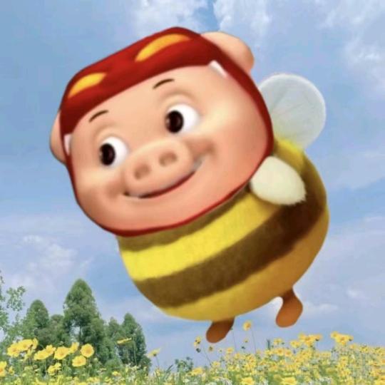 给趣多多点巧克力豆.