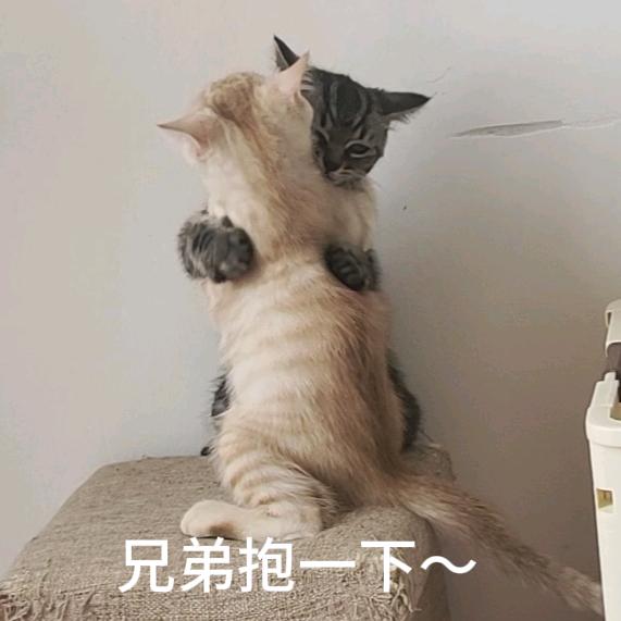 叶某人