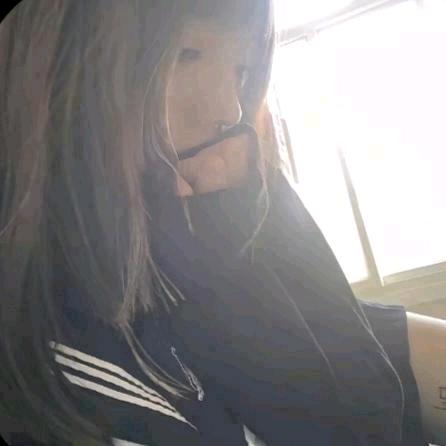 迪迪daisy