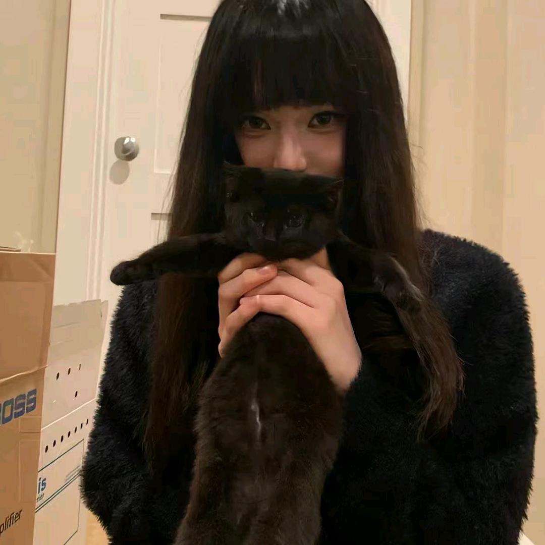 coc呀