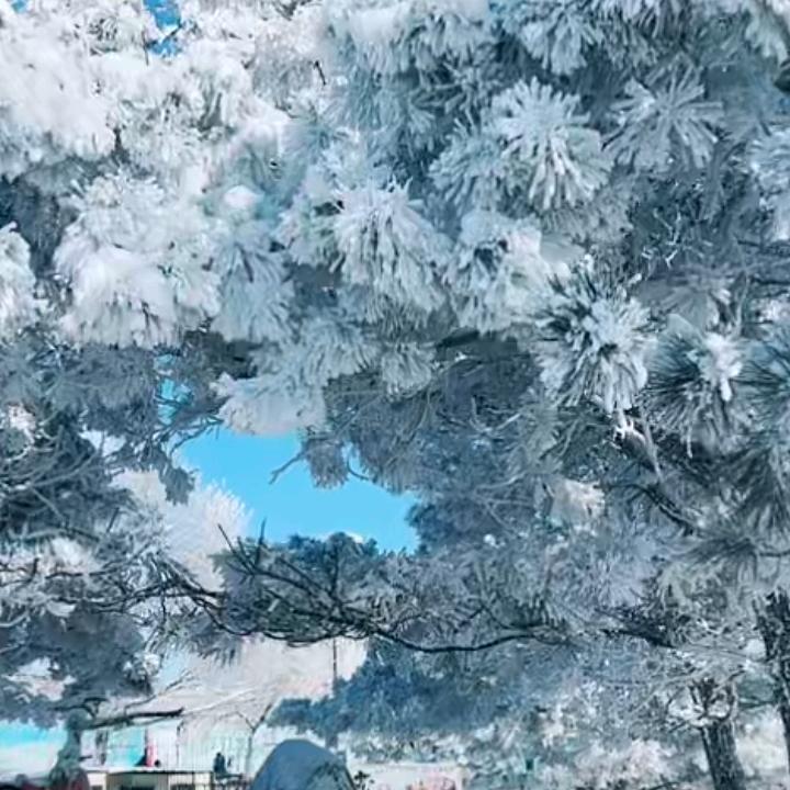 海