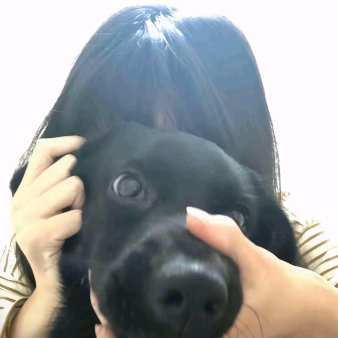 dgjdn头像