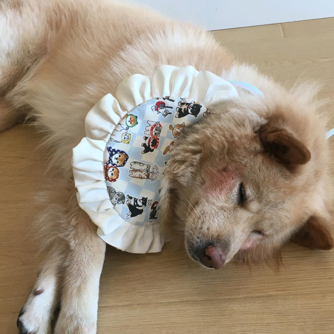 哇哦~