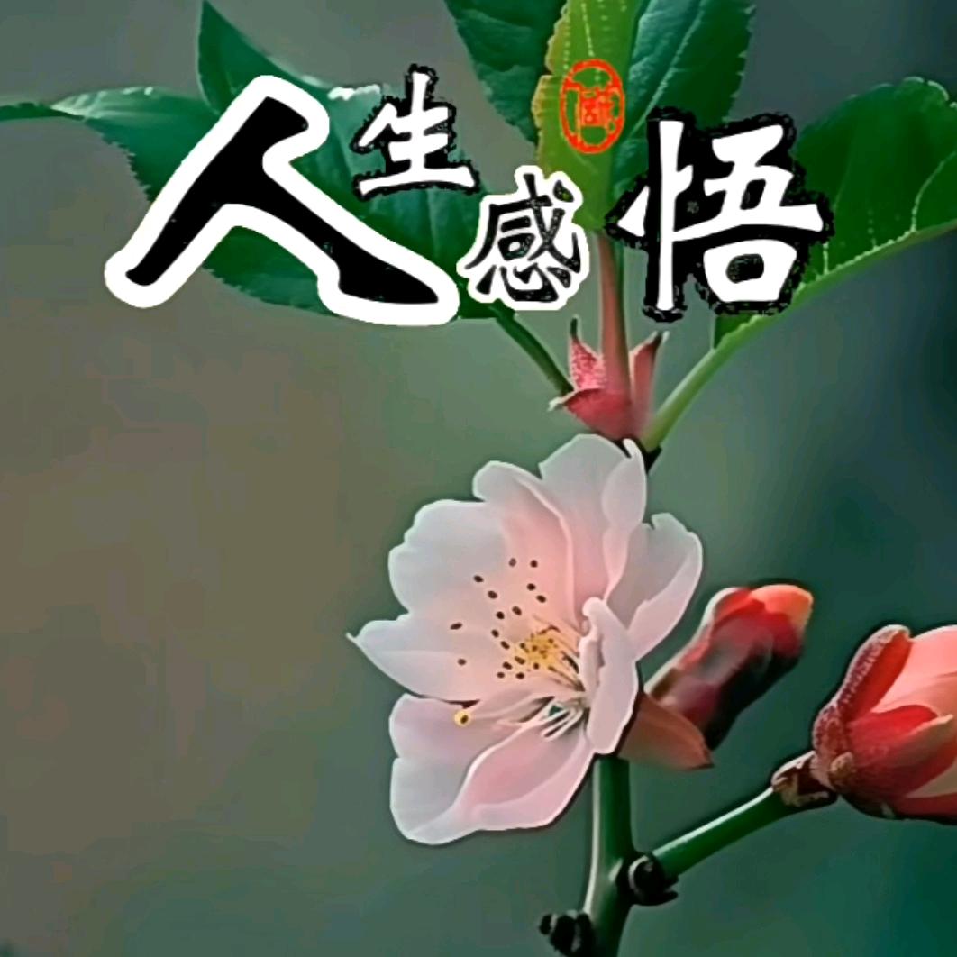 人生感语
