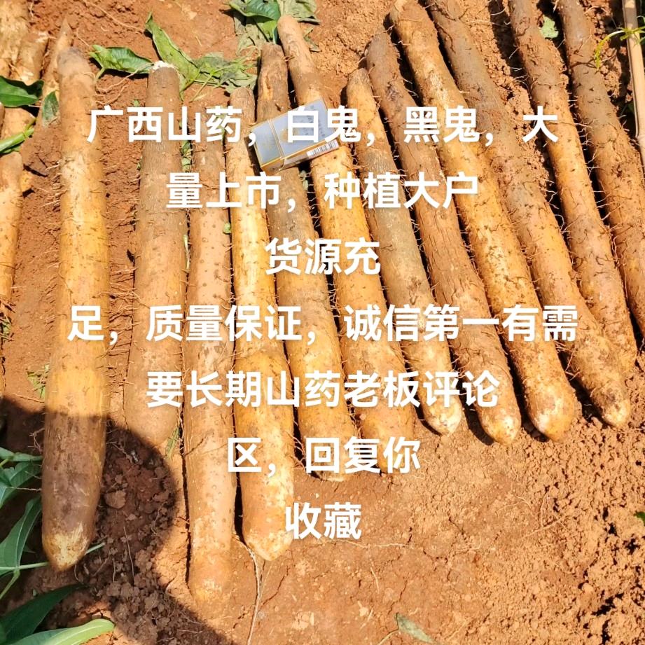 兄弟果蔬—产地一手货源