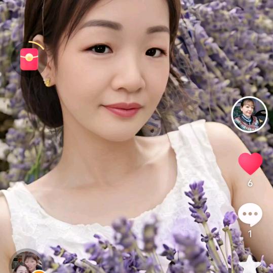 杨彩菊
