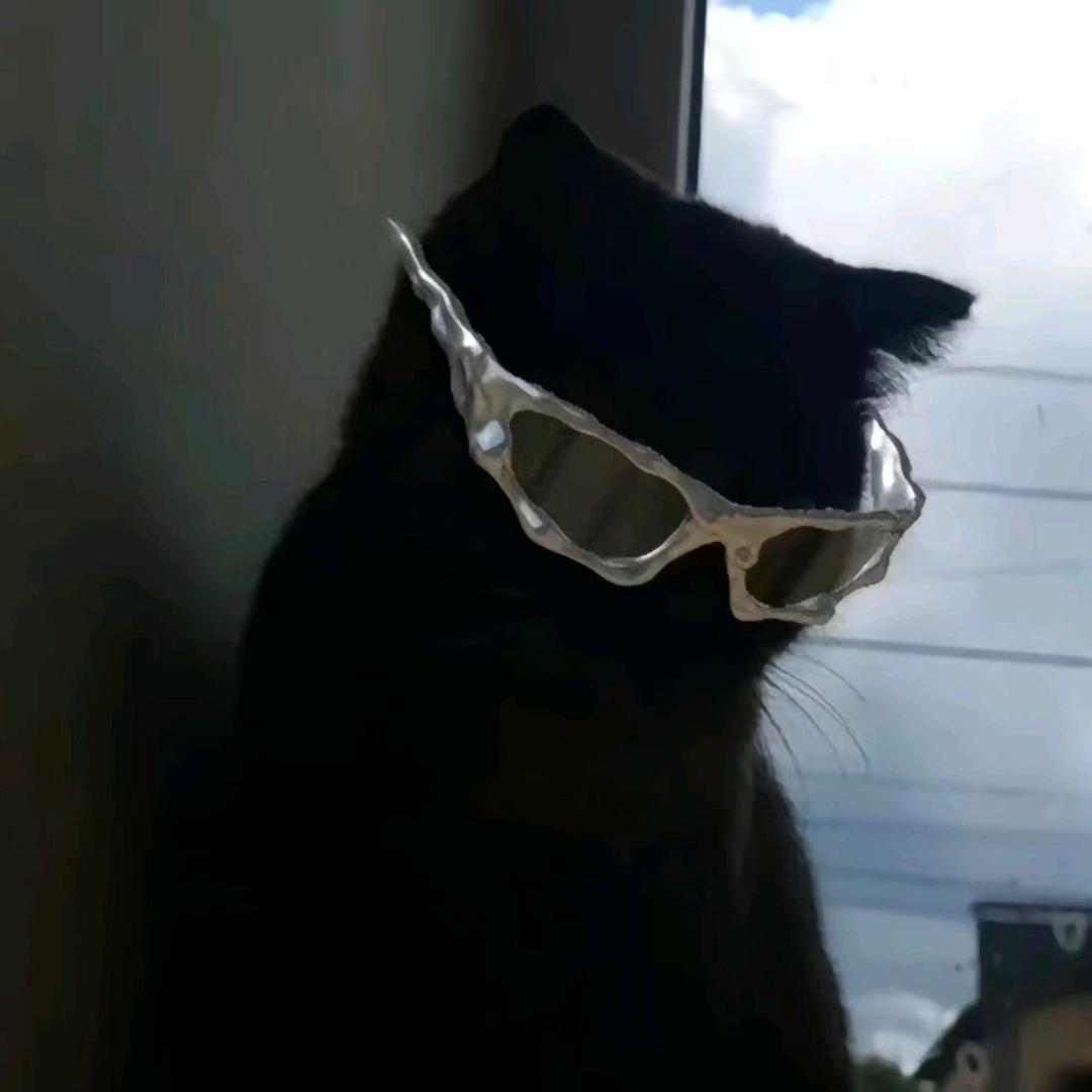 阿毛（游戏直播）