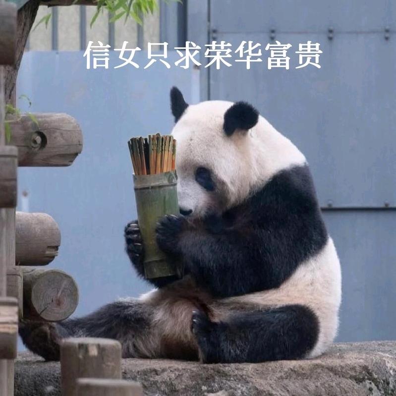 兮小颜小霸王