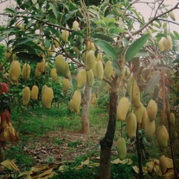 我就是我没有别人替代我