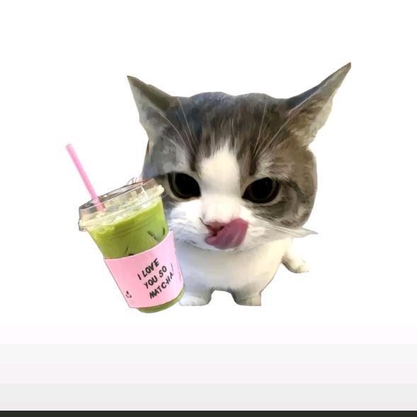 土豆十三