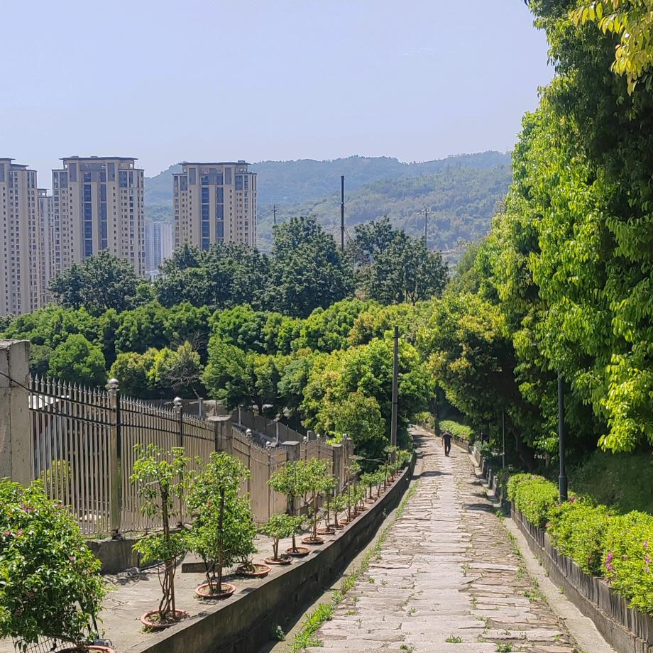 纤浔