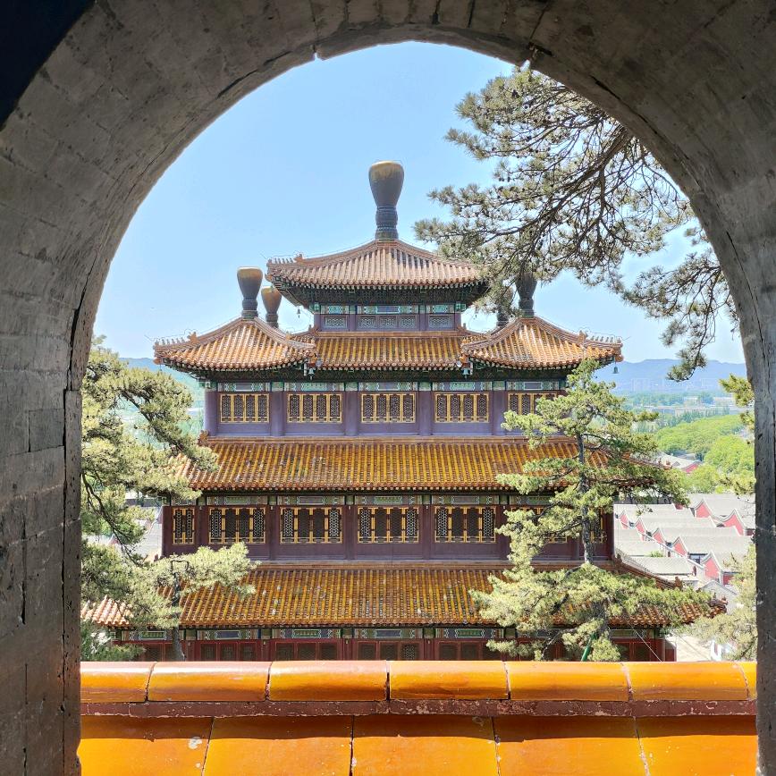 生命自在～灵魂自然