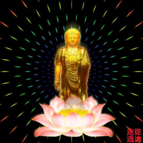 漂哥