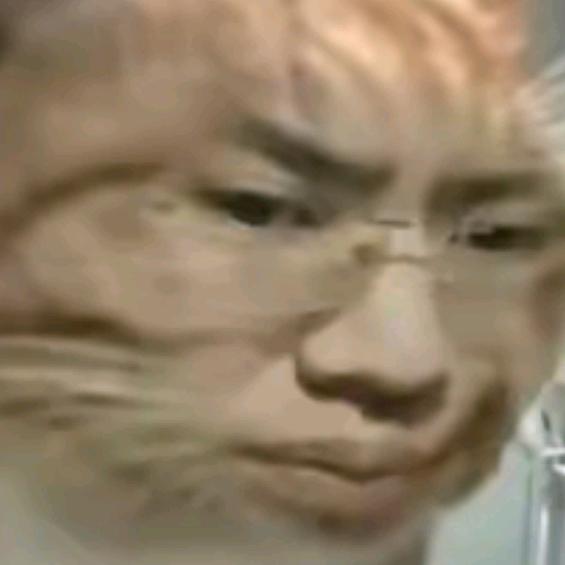 听泉鉴宝（探花）