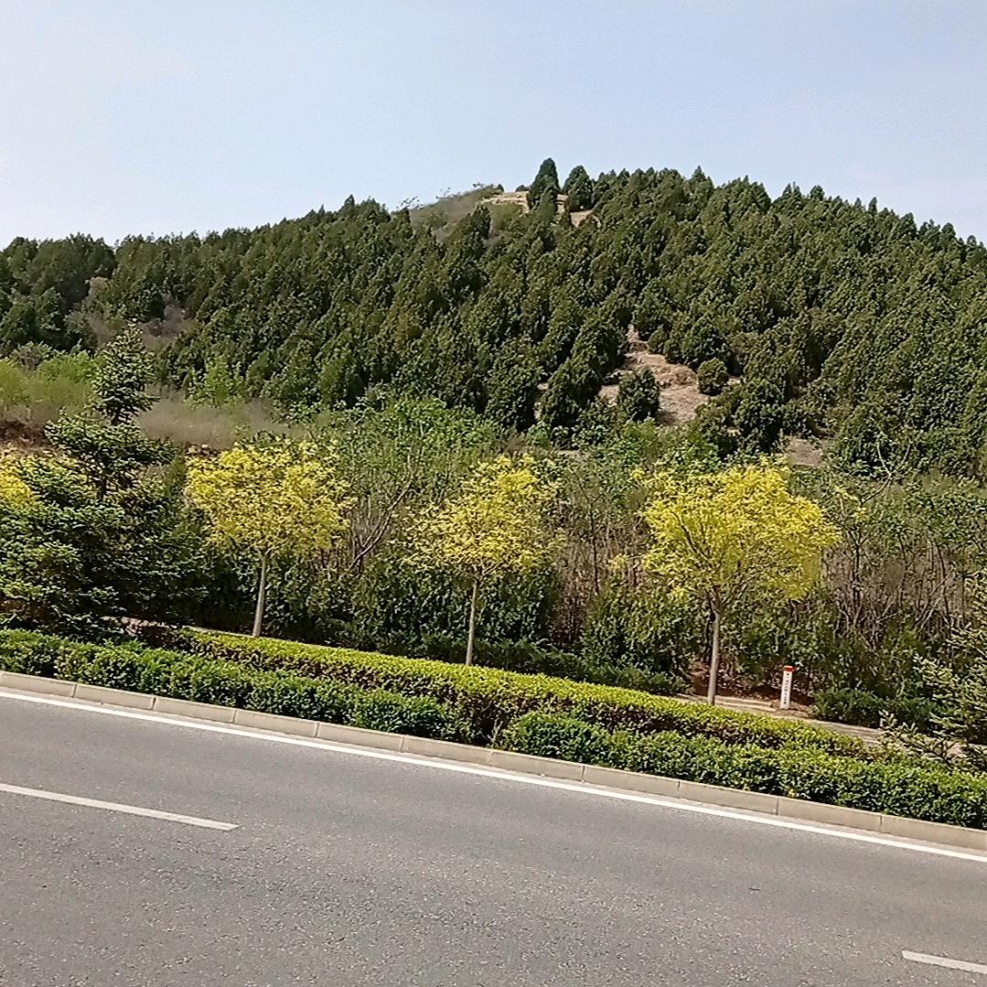 用户3706043440301