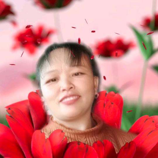 悠乐欢，(停播学习)？