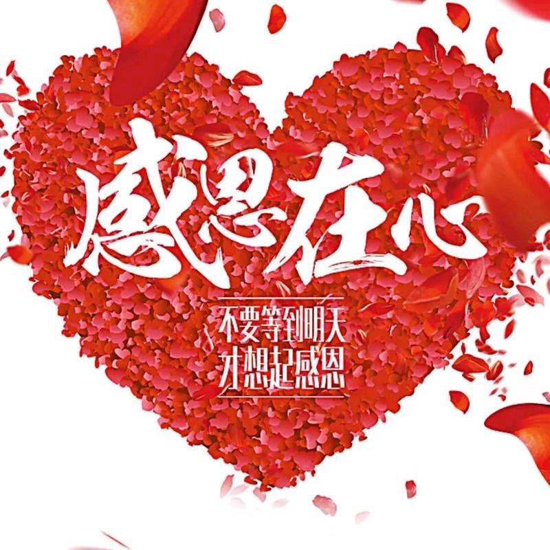 我是人（陈无敌☞逆风行)
