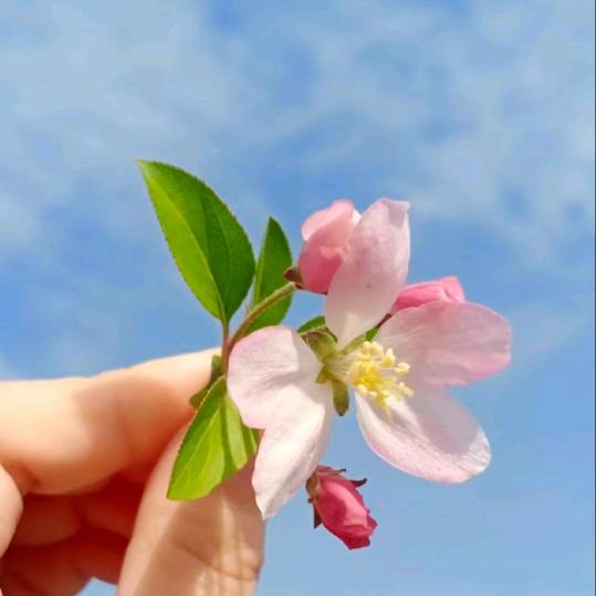 💝海玉💝