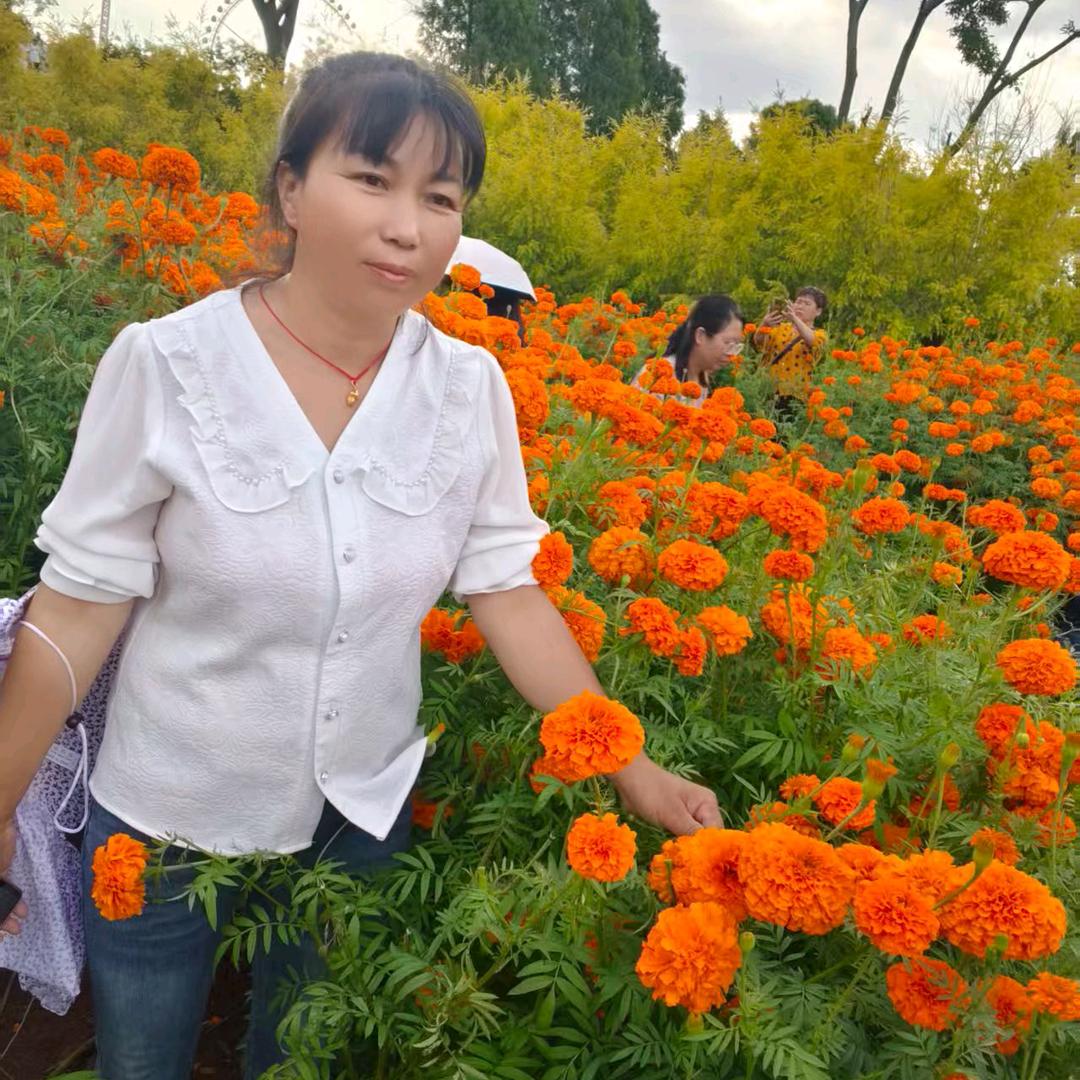 看不透的是人心