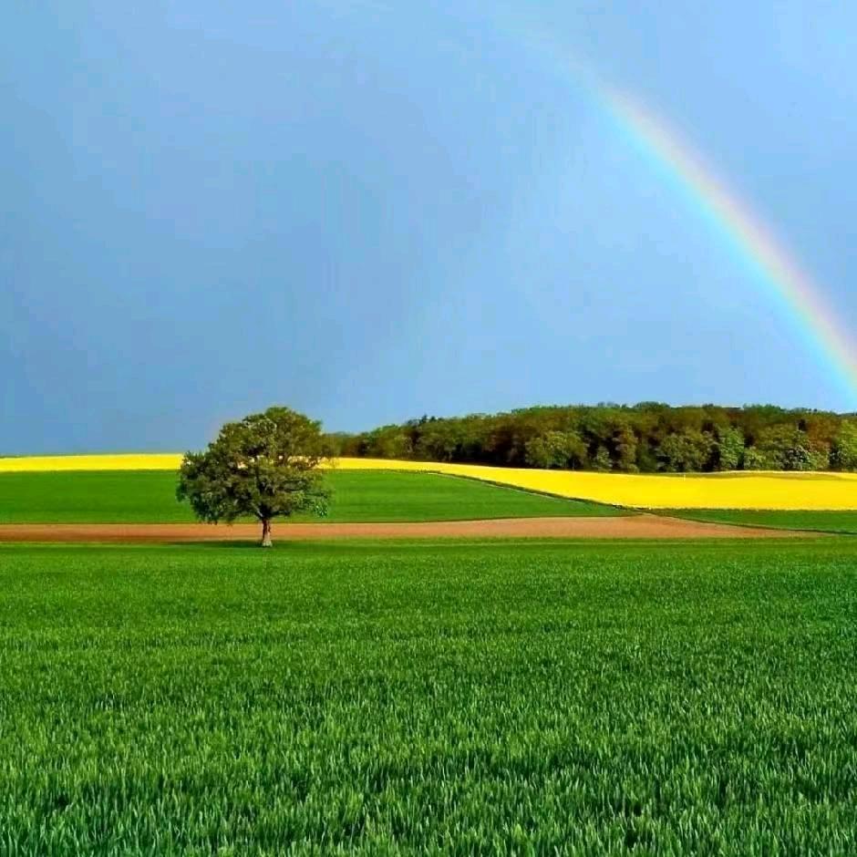 笑看人生お🤗🤗