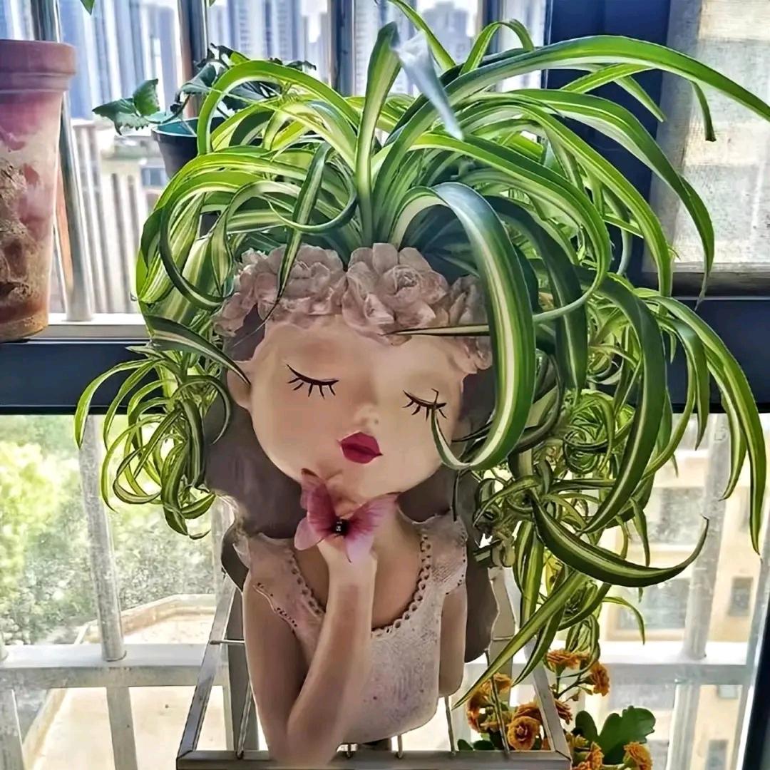 咔咔咔⊙ω⊙