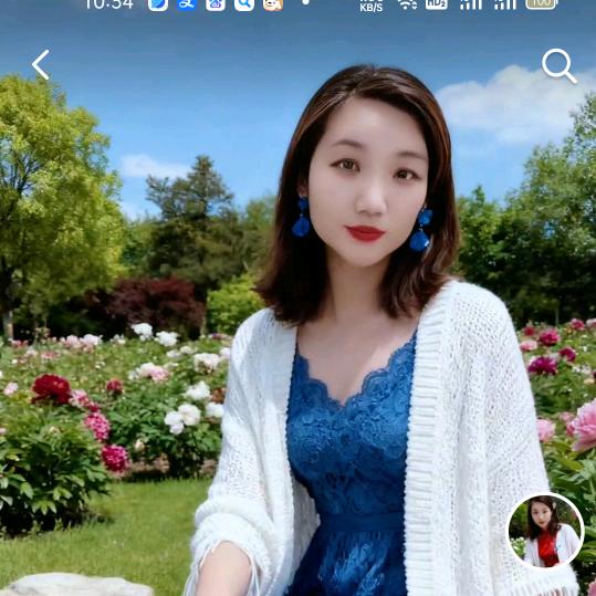 夜兰香