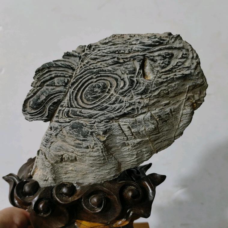 若，懂得灵璧石