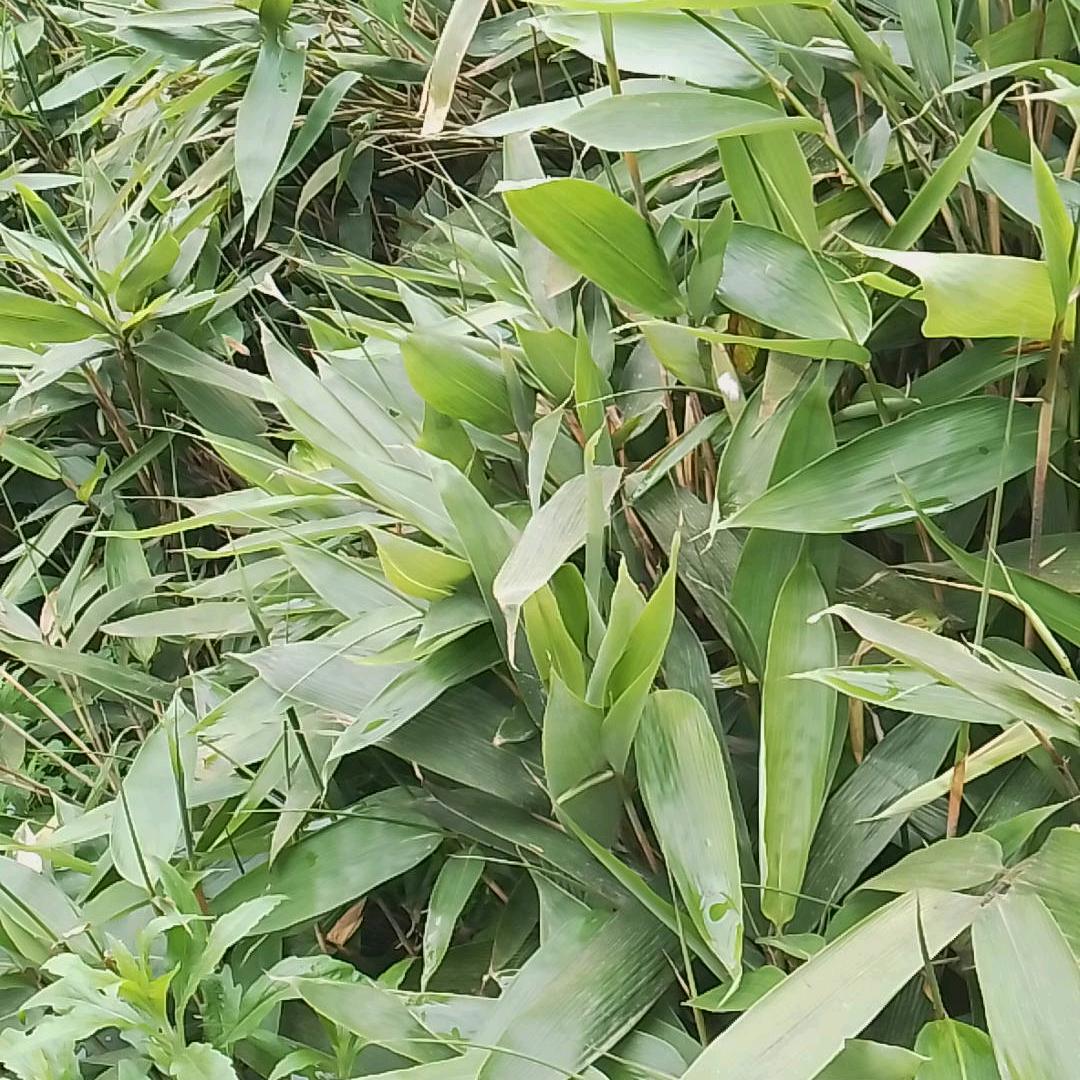 蓝天白云！！！