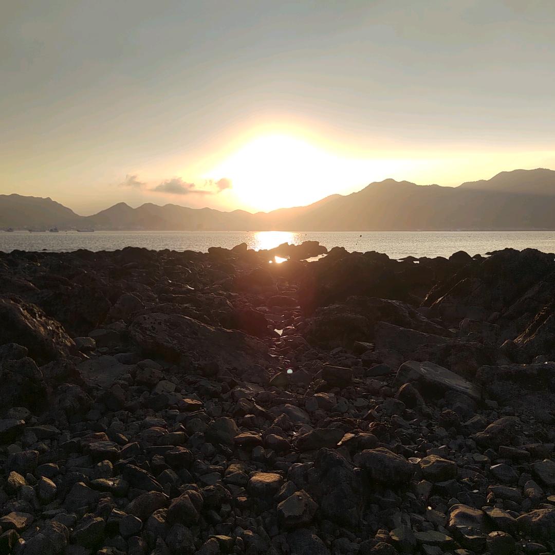 霞浦（向导）包车捕鱼拉网赶海快艇