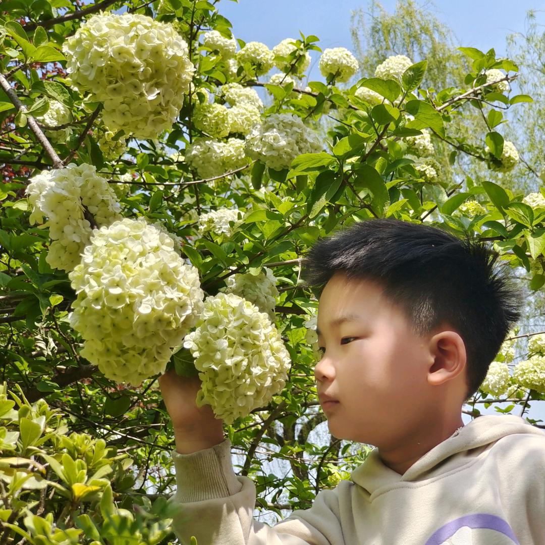 若相逢。。。