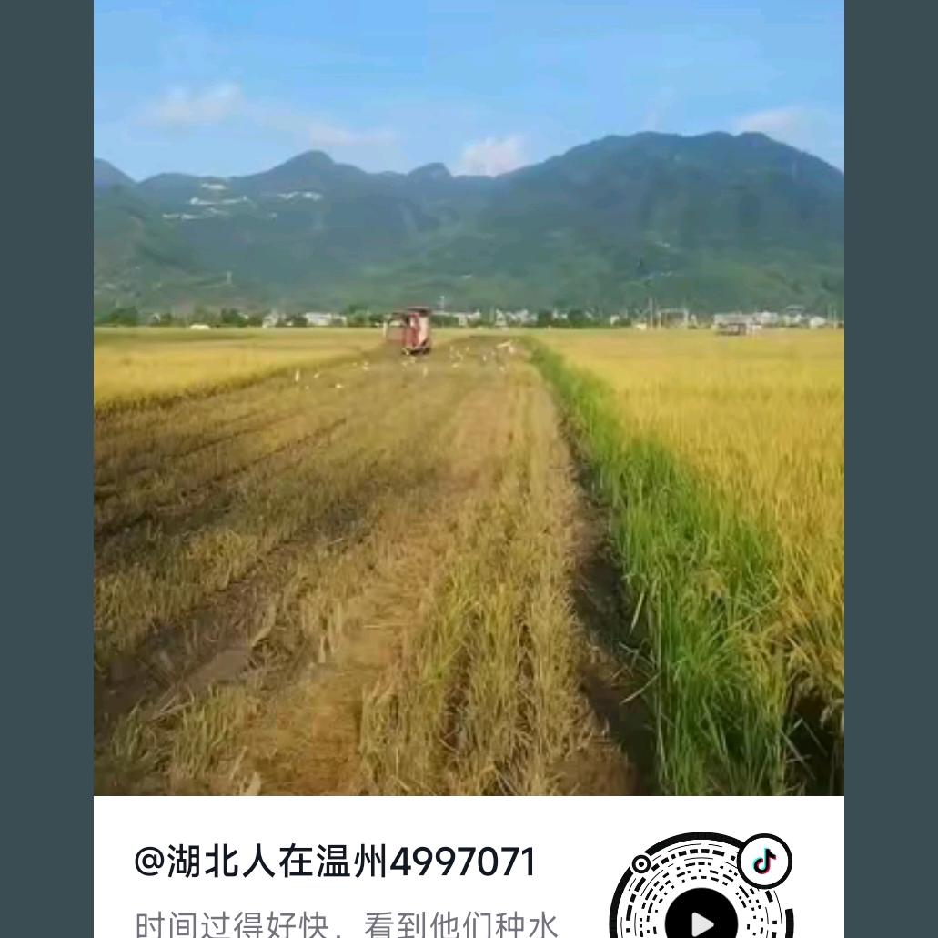 语过天晴4997071