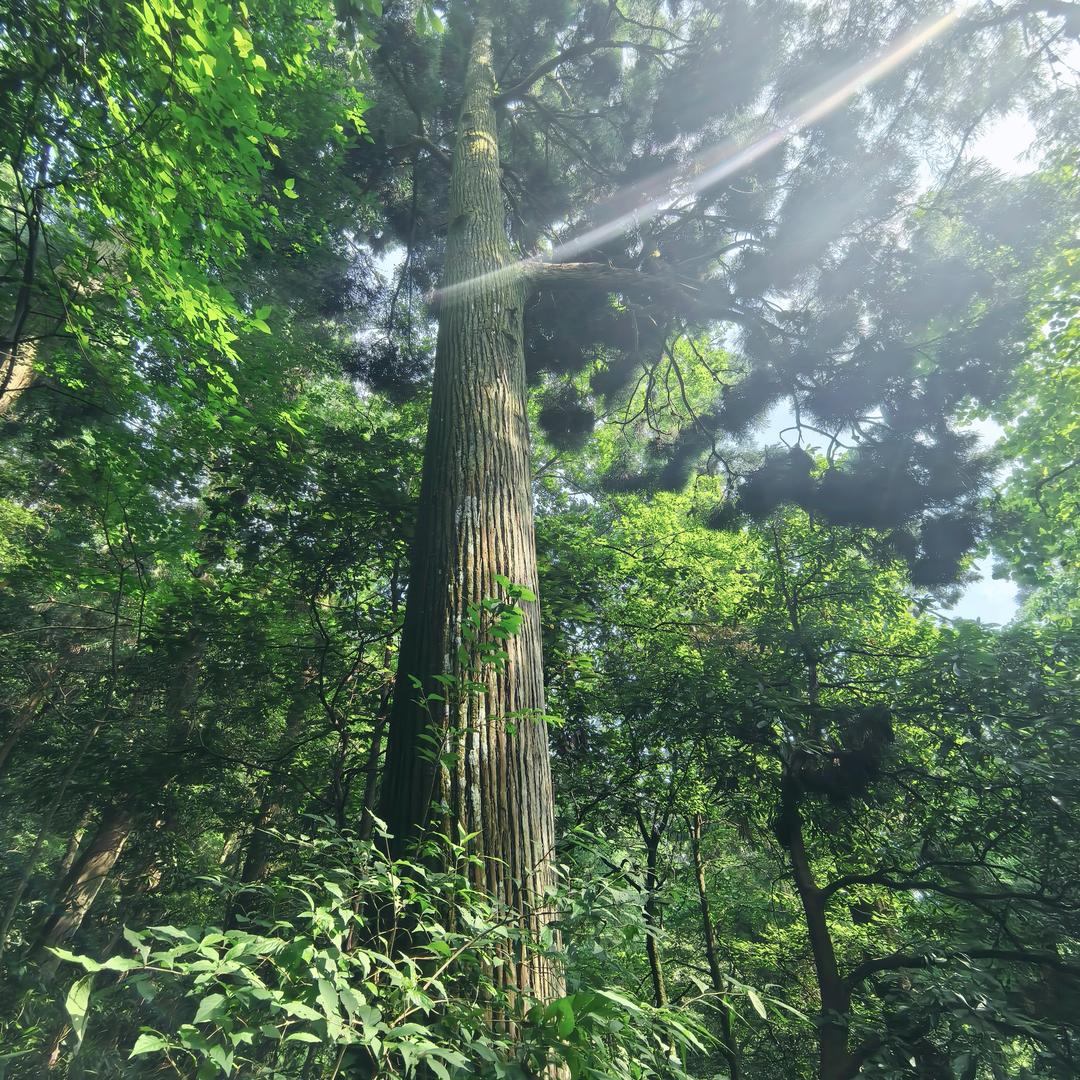 沪漂苏北人