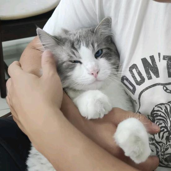 还没想好