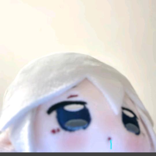 浔槐枝