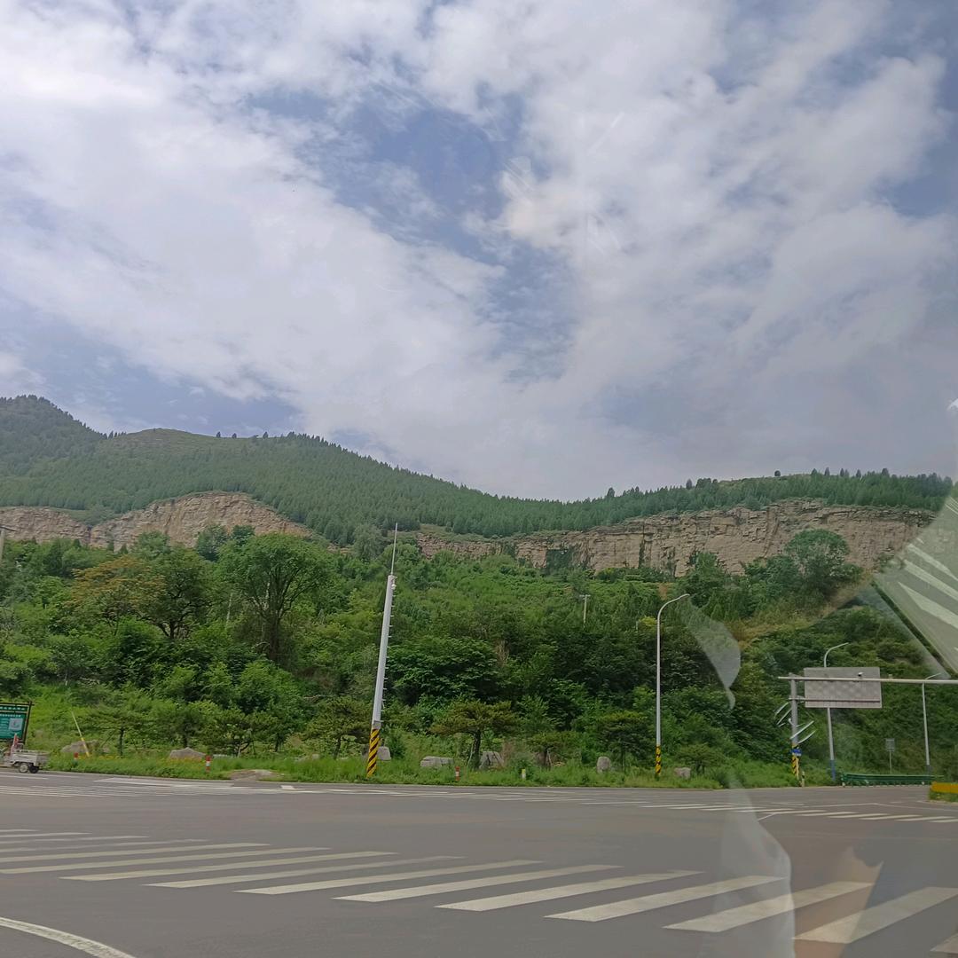 小树苗0306