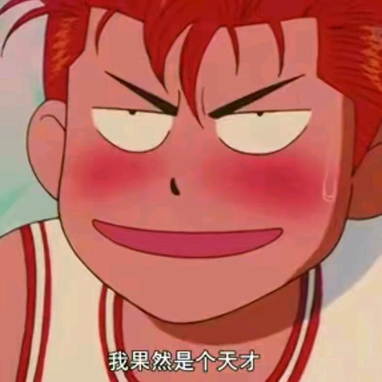 毛豆儿