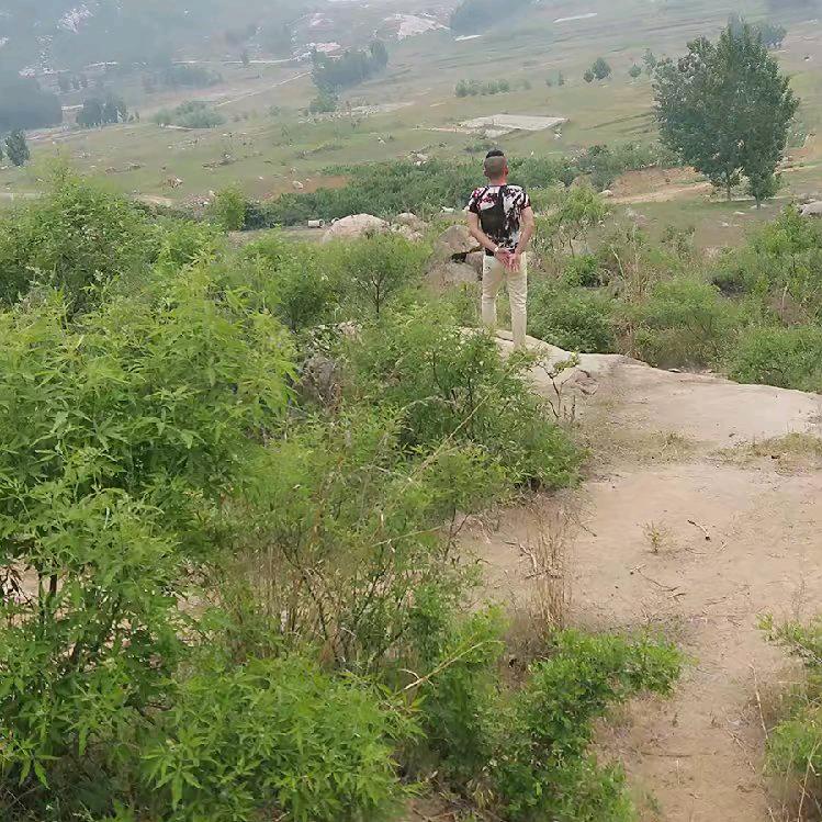 飘飘