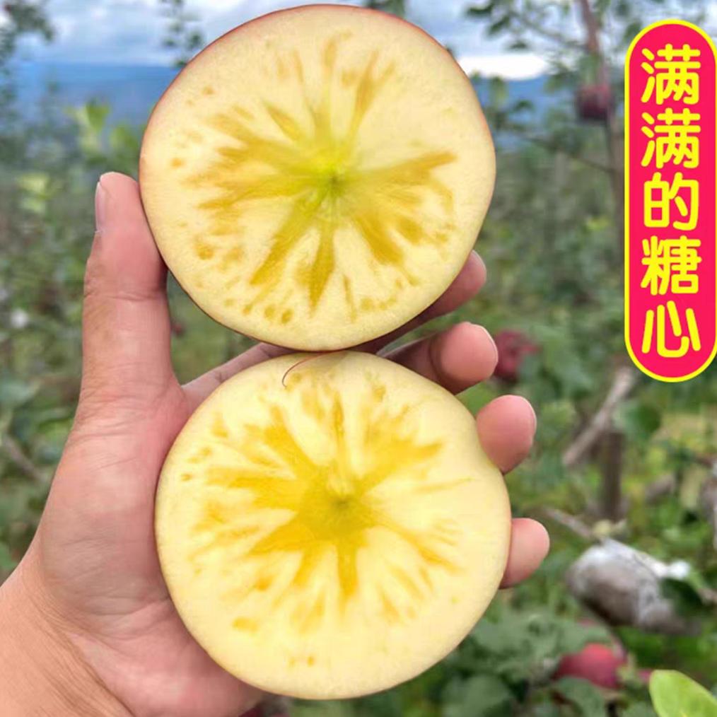 大凉山盐源苹果一件代发，批发