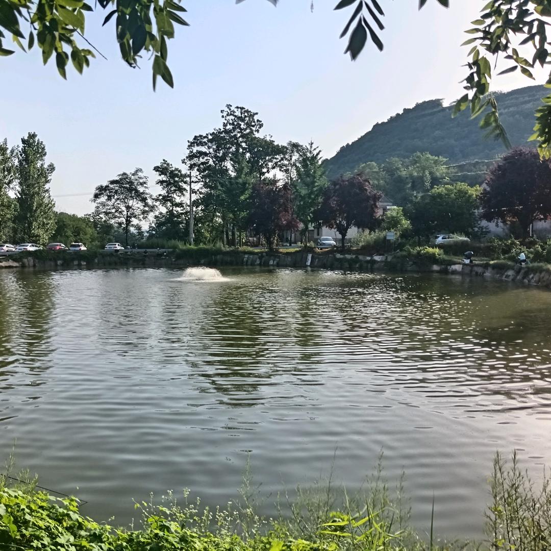 丰源鱼塘垂钓园