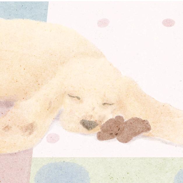 橙子..