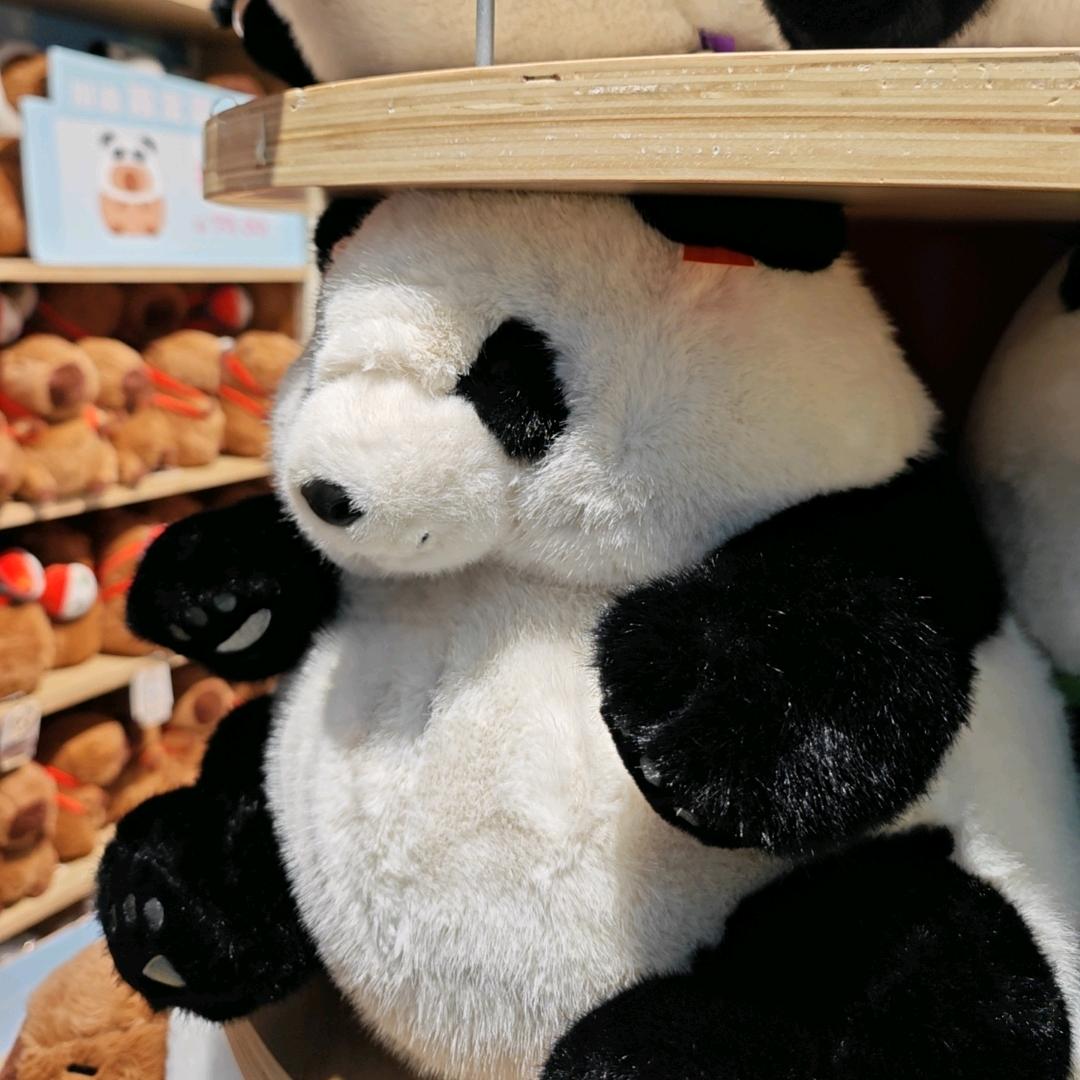 墨墨的英语角。