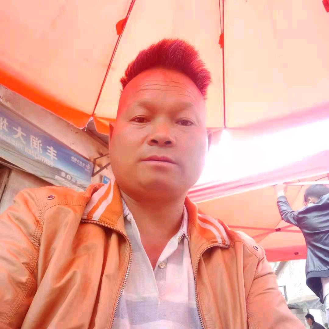 山中有宝158合起来12292570