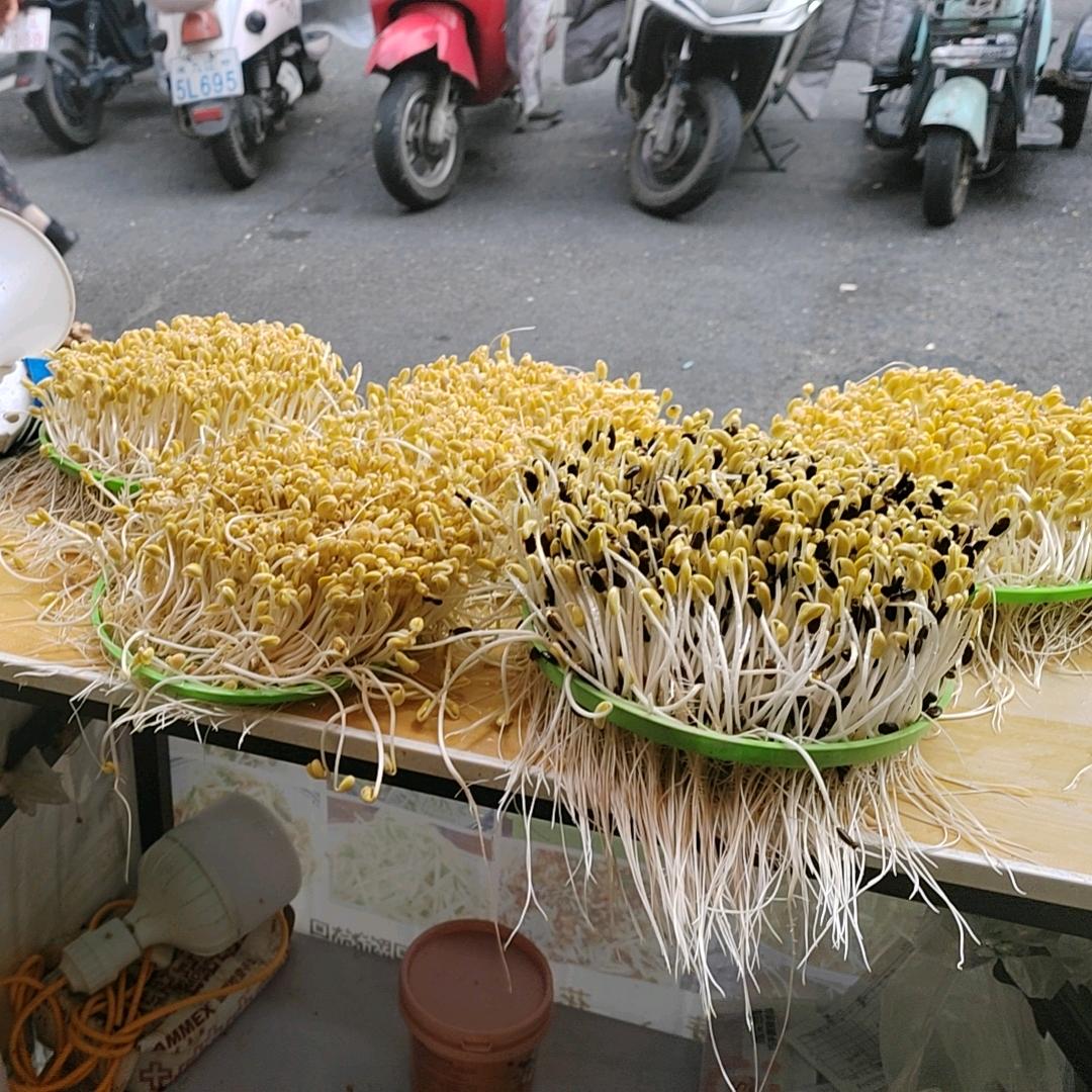 修水芳姐有机豆芽