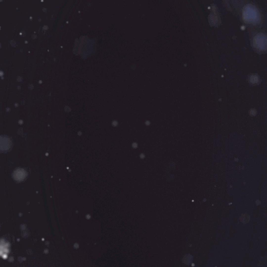 33538200696