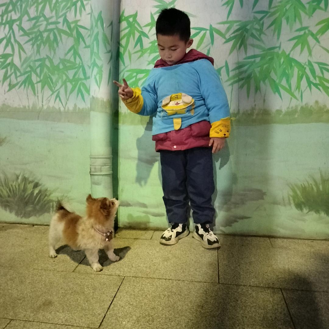 不减四十斤不改名