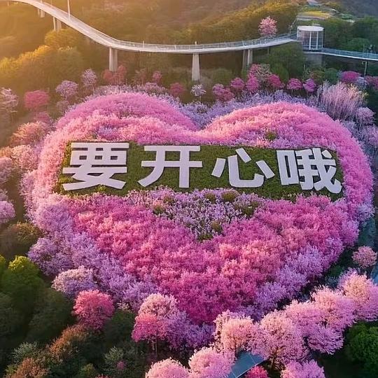 ❤️姐ღ᭄是限量版᭄