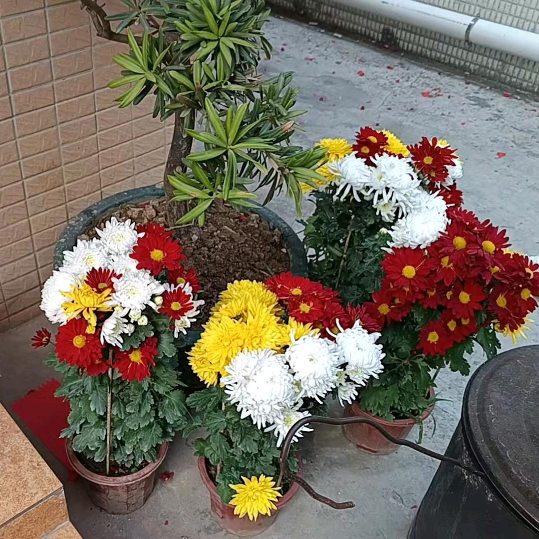 @҈҉҈҉҈҉҈҉҈҉҈҉我是大美女