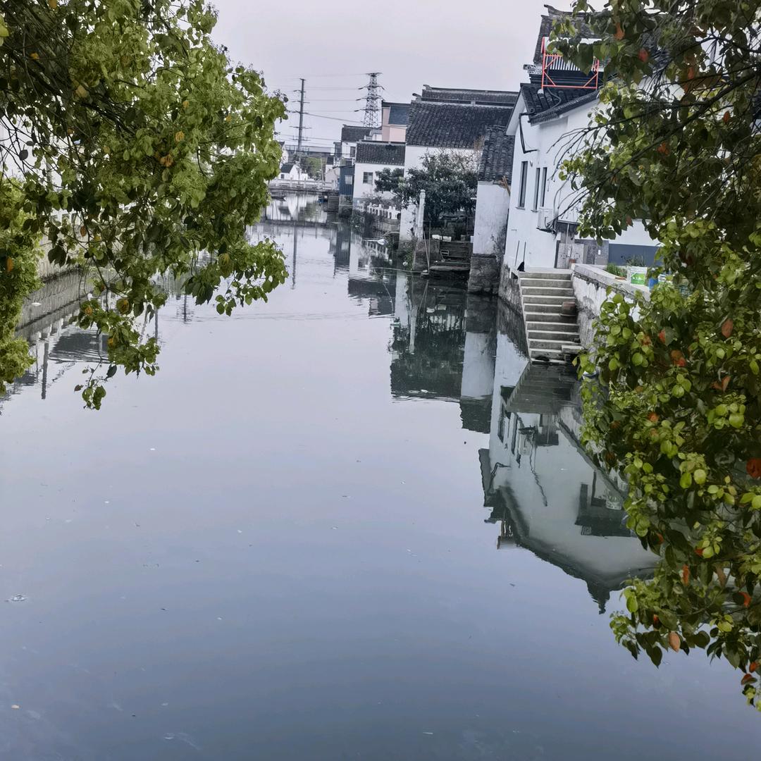 水煮鱼